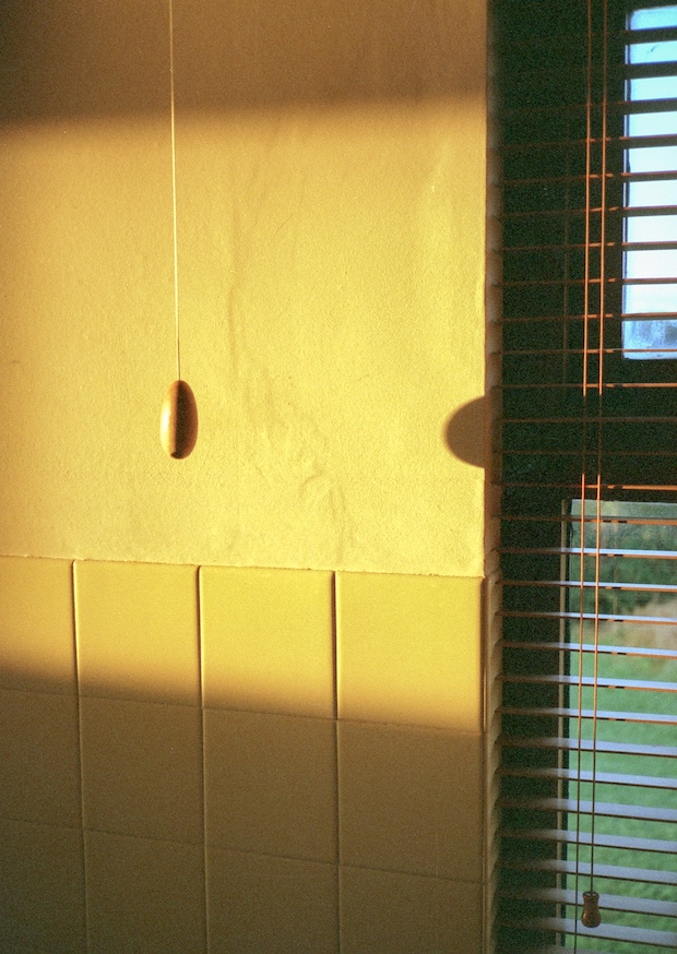 Eslam Abd El Salam, Can you see with your heart? 35mm photograph, 2025. Image courtesy of the artist.