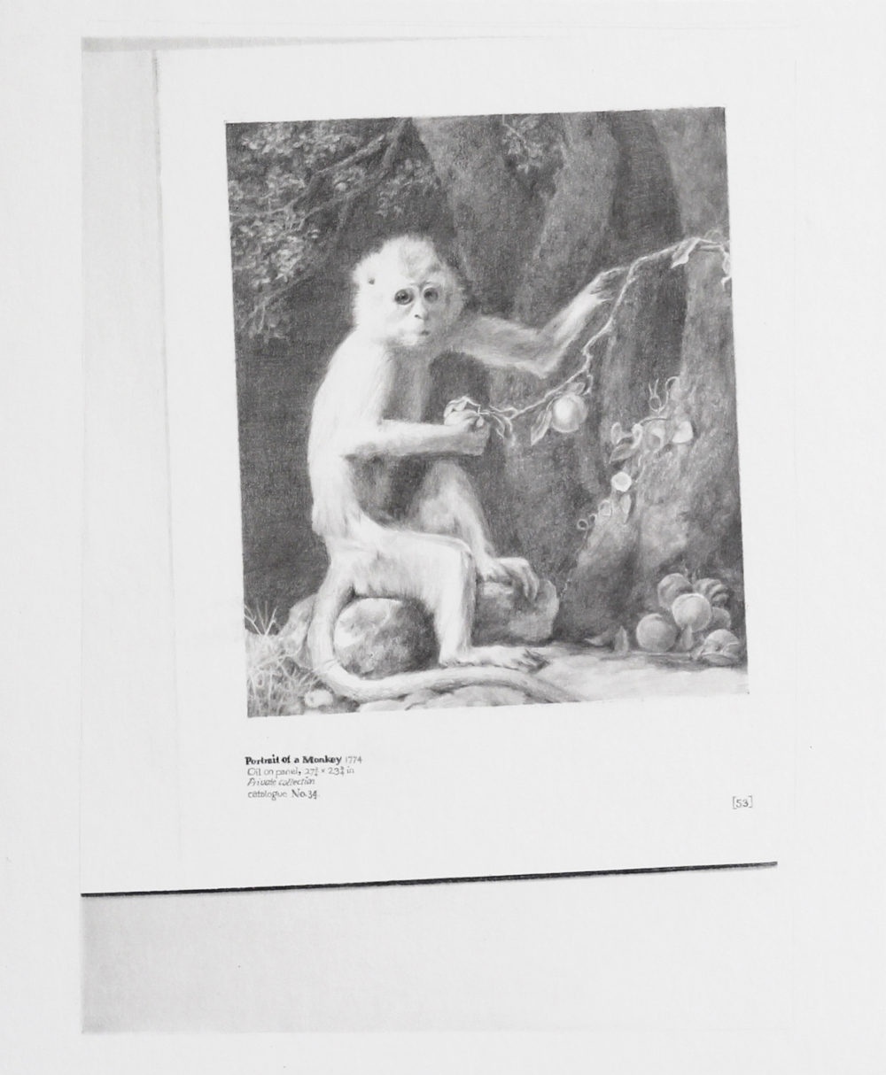 untitled, pencil on cardboard, 32 x 26 cm, 2016