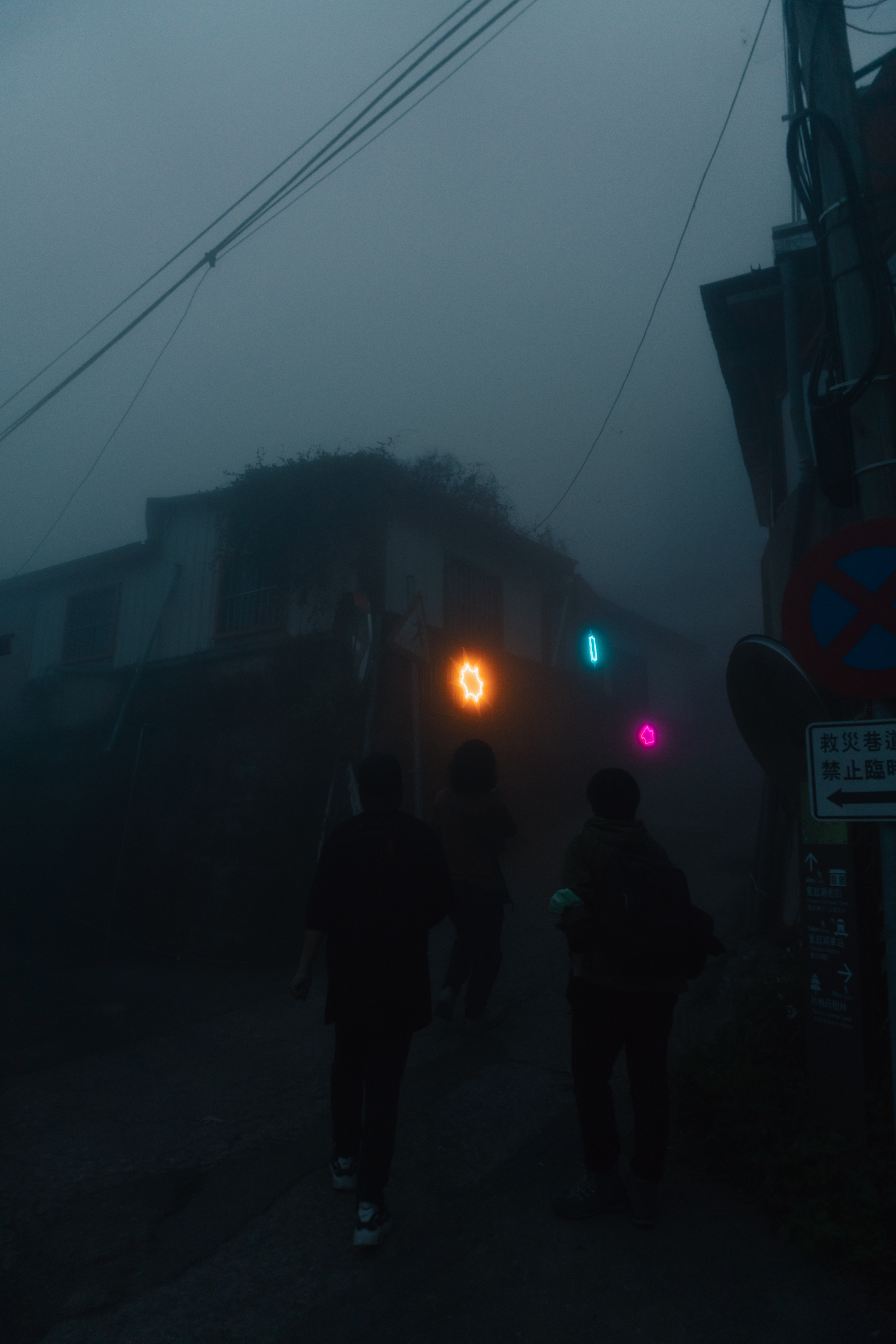 ↑　2023_ Firefly Light