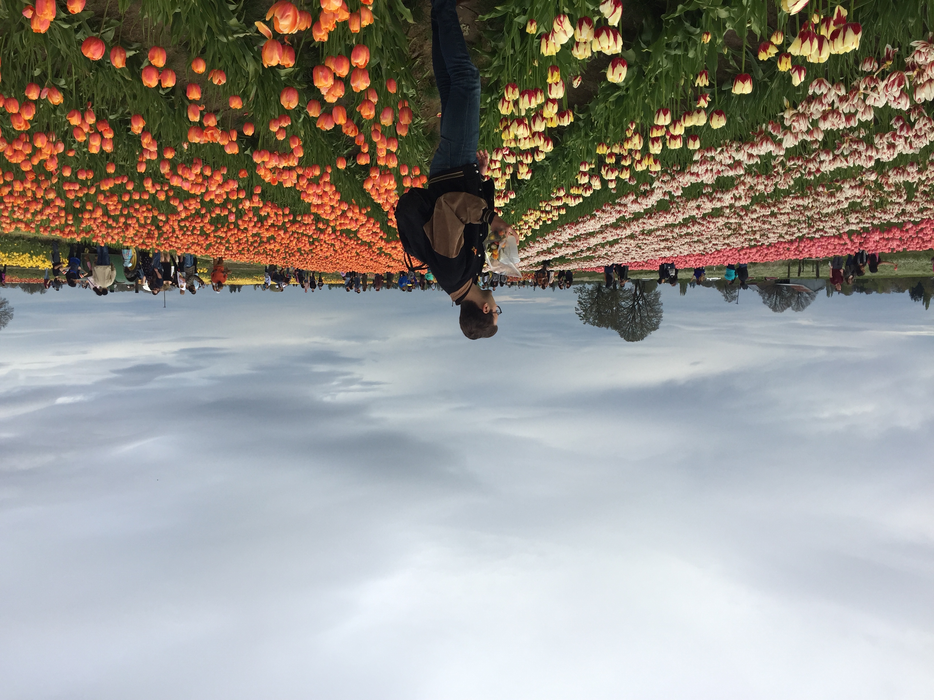 Wooden Shoe Tulip Festival