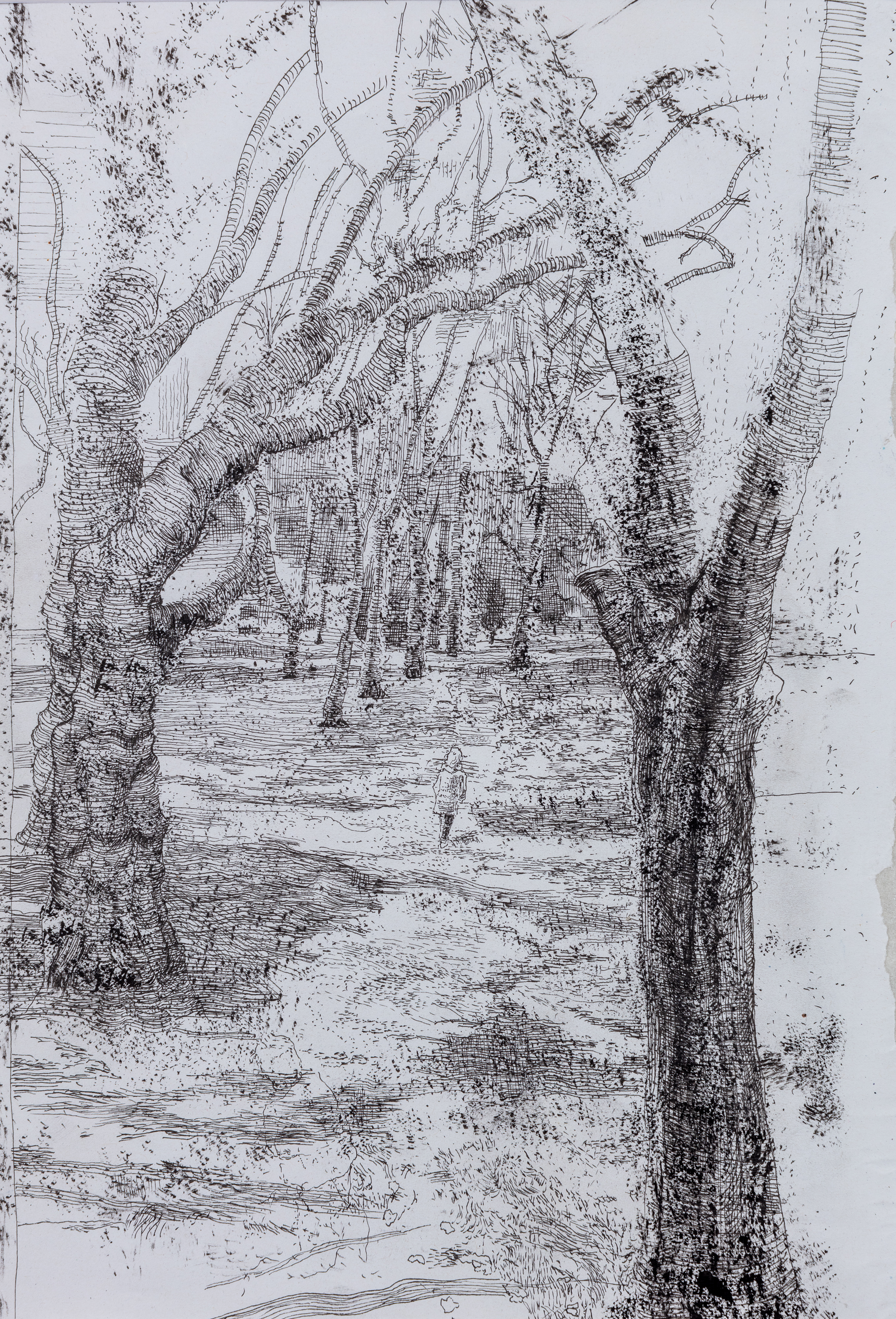 SOLD Evening in Whitworth Park, Manchester