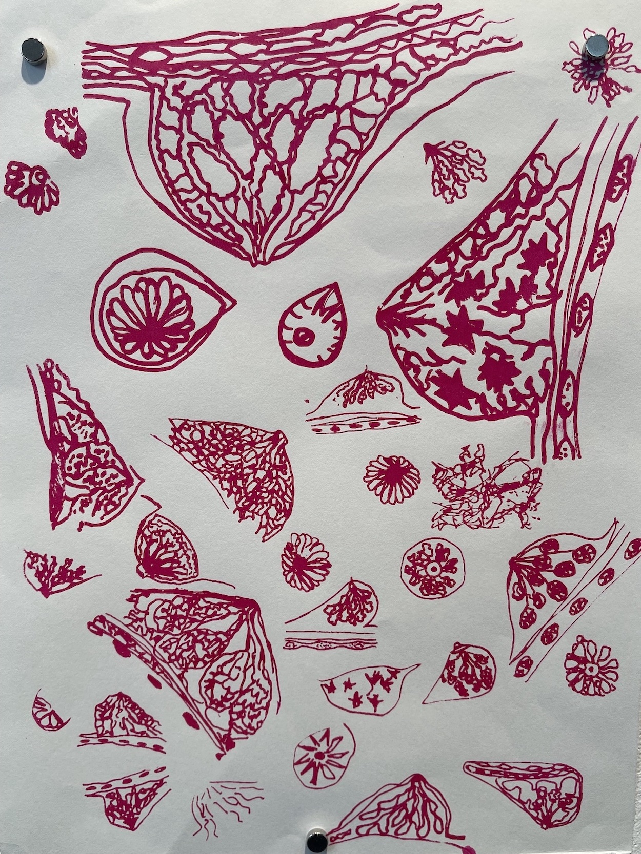 Scans, Silkscreen on paper, 2022