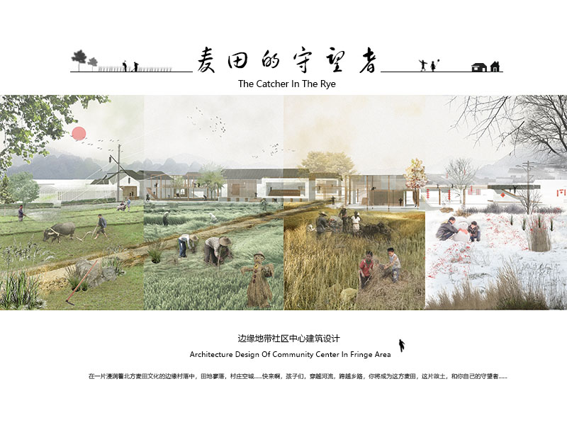 麦田的守望者三年级