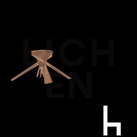 Lichen_MonthlyMarket_Animation 