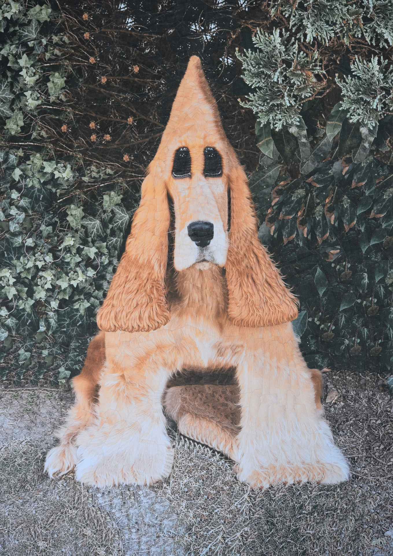 Tobby, 2019, 8.2 x 11.6 inches