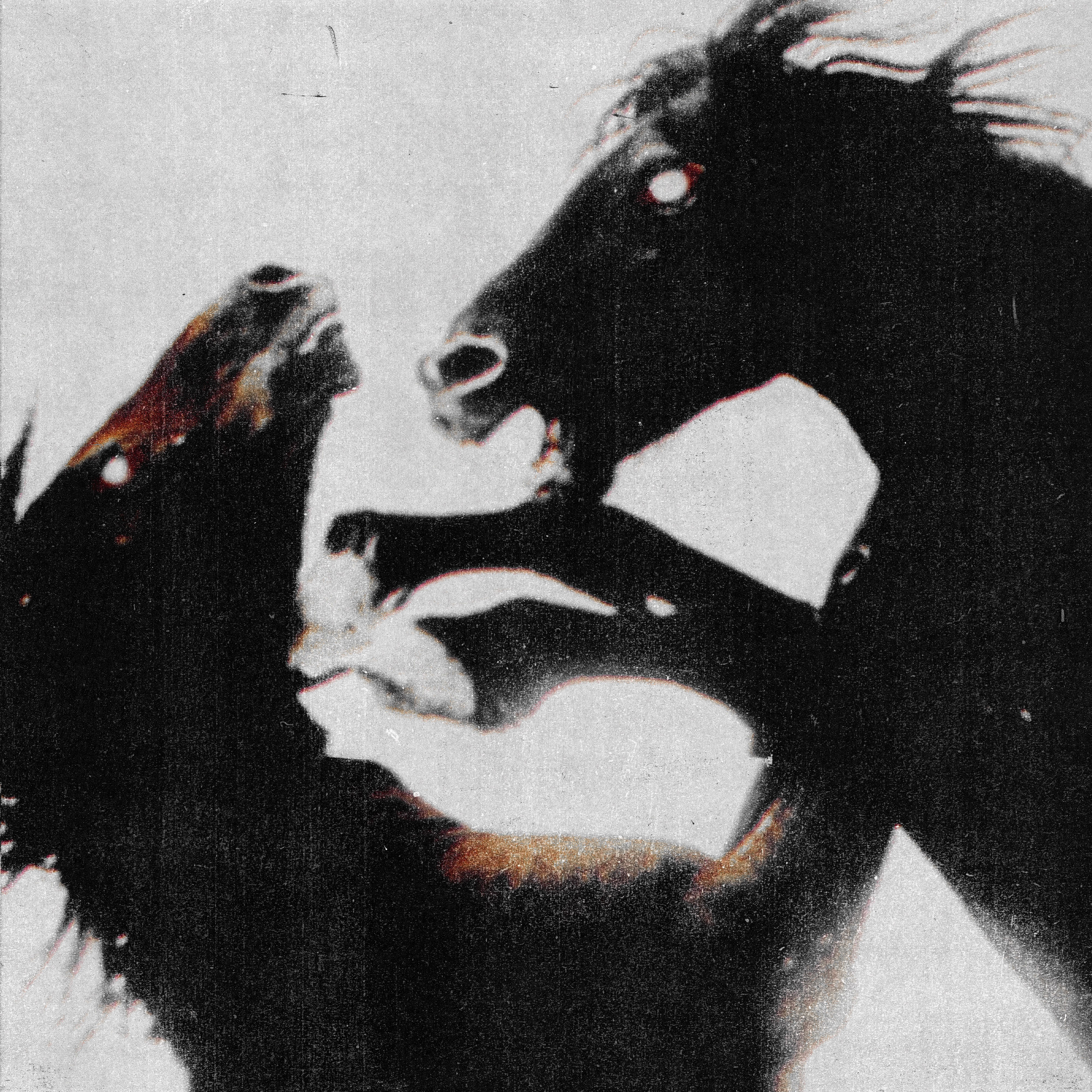 give me a show * 07.18.2025