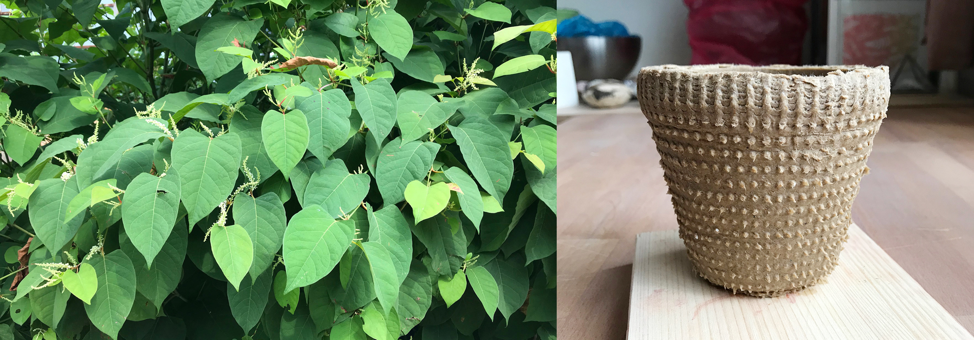 Nursery planters, Trajna + Snaga, 2020