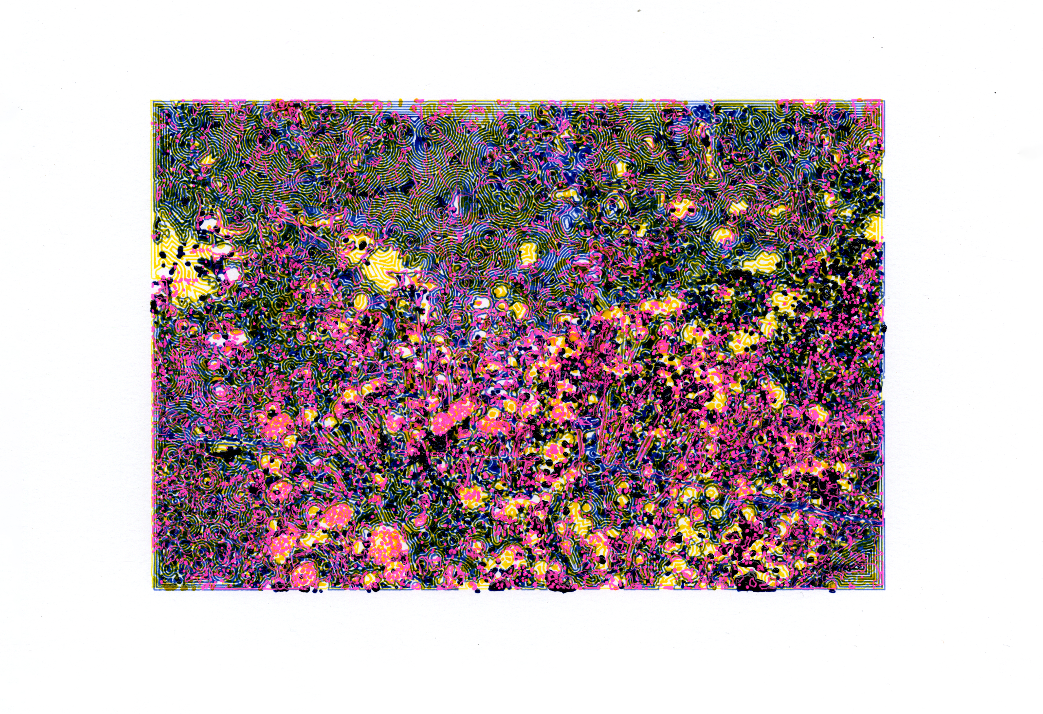 Brooklyn Botanic Garden #4, 2022; Gel ink on paper (3 colors); 11.25 x 7.75