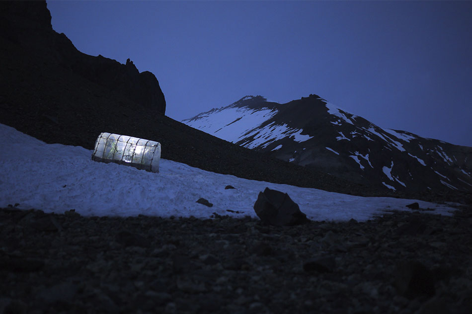 Máximo Corvalán-PincheiraProyecto Invernadero, 2013Installation of 9 photographs, 4 drawings on paper and a digital videoVariable dimensions (detail)