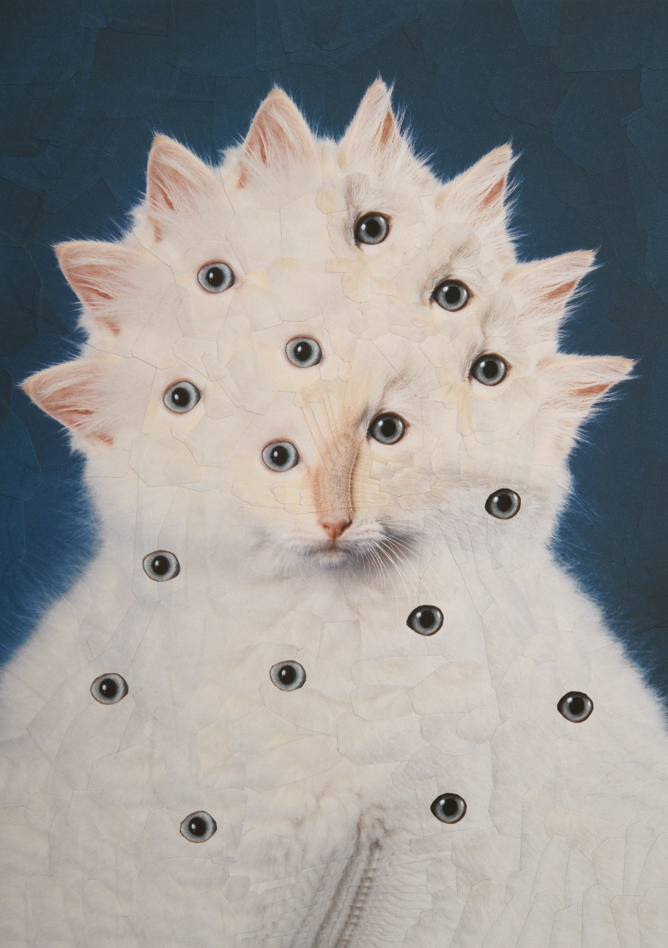 Queenie, 2022, 8.2 x 11.6 inches