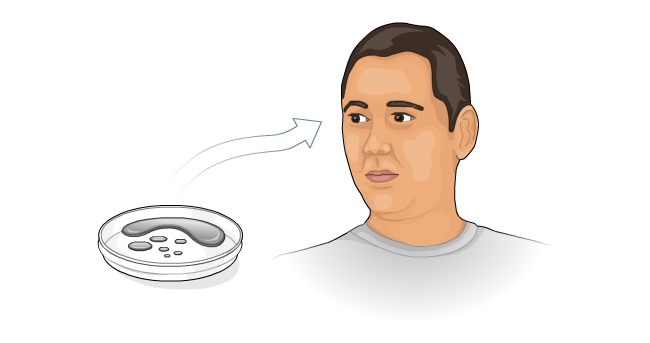 Inhaling mercury vapors