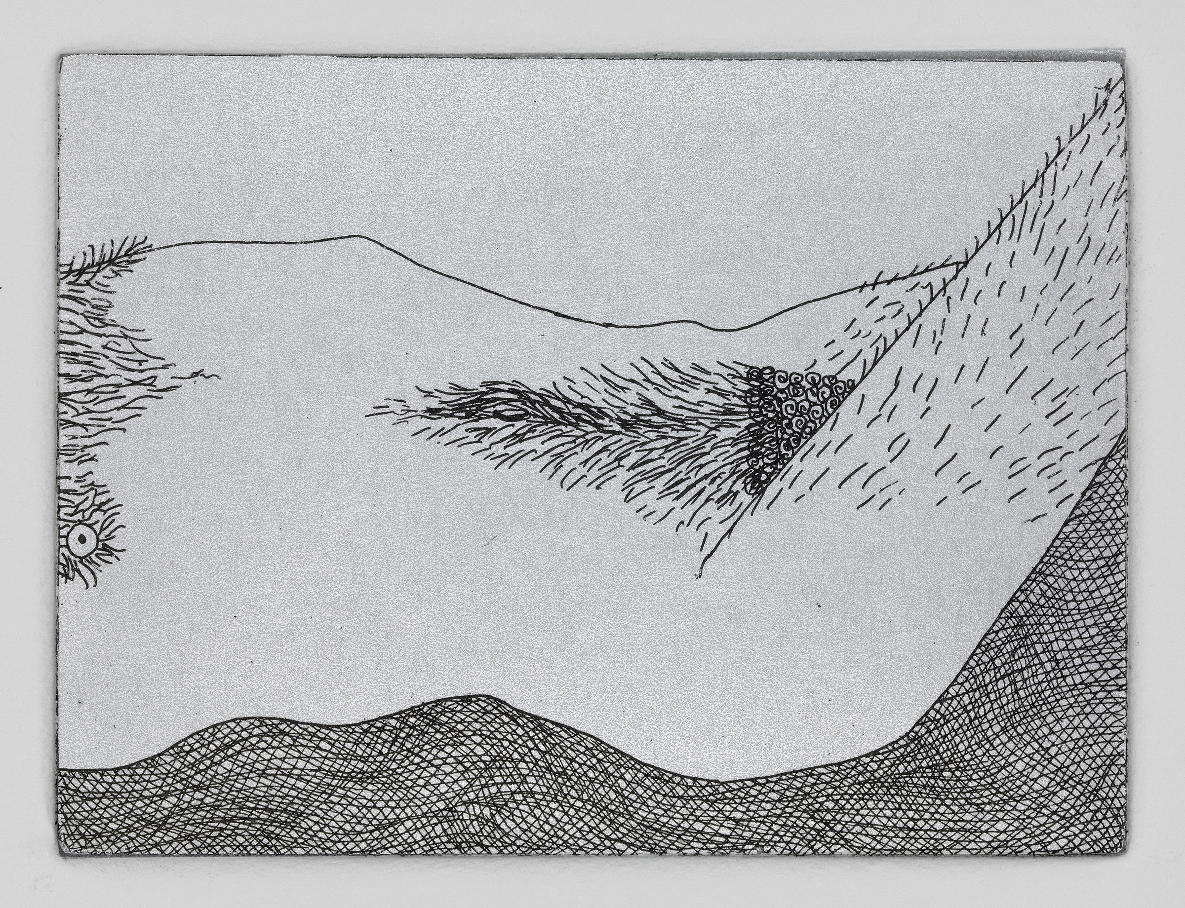 Twisted Torso, 2010. Etching with chine coll&eacute;; 3 &times; 4 inches