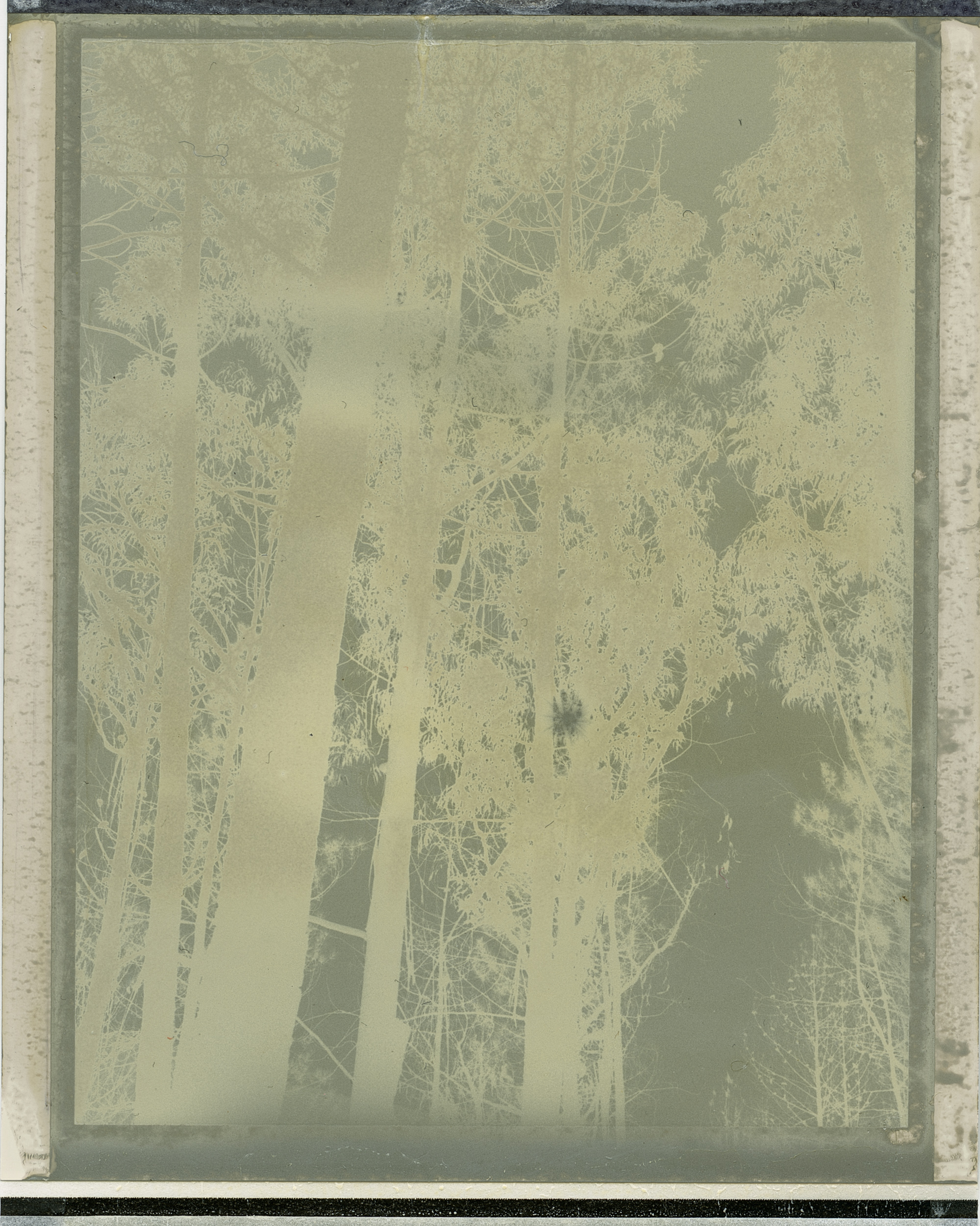 polaroid mother nature I | Portugal 2019
