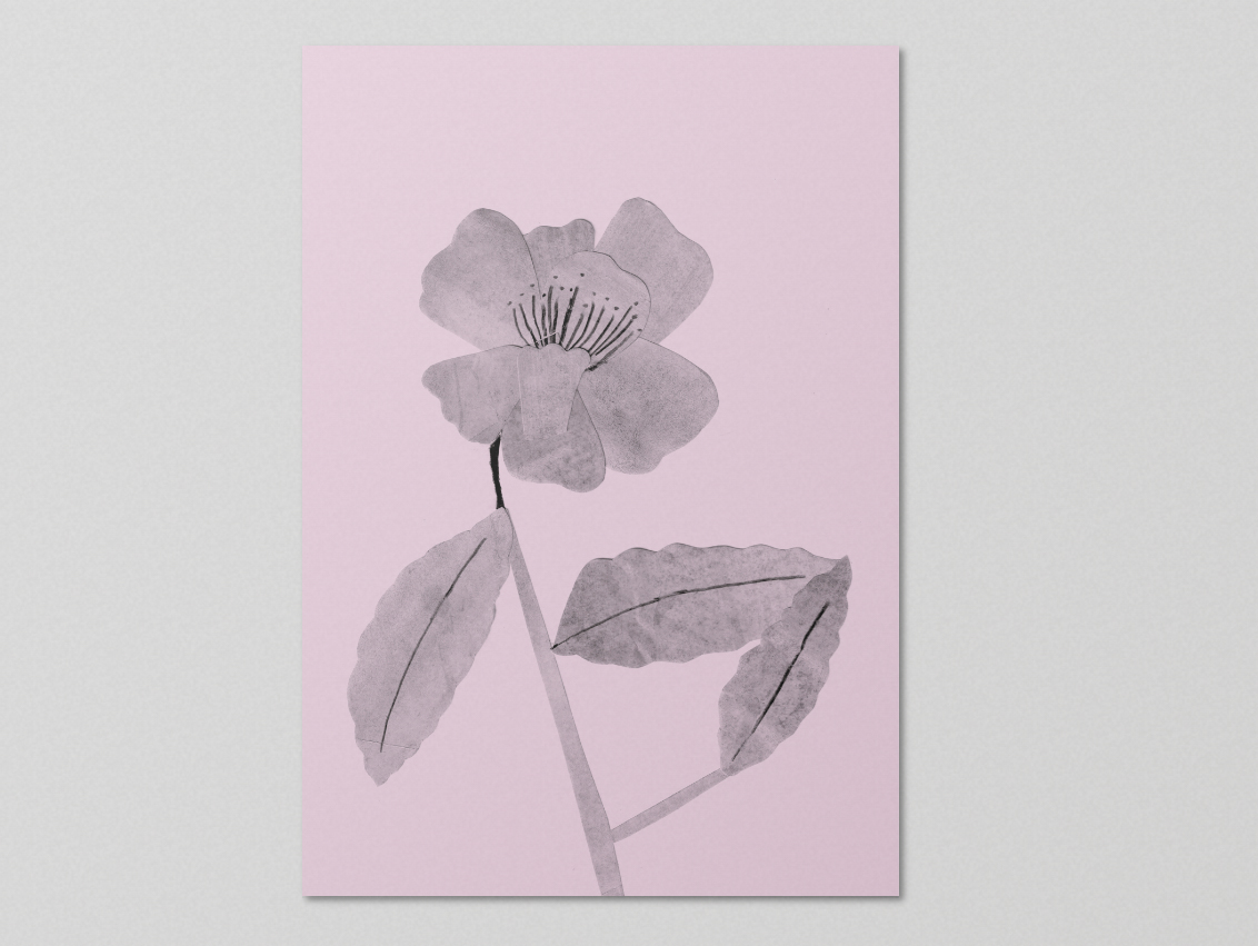 Flowers & All We Do (2023)