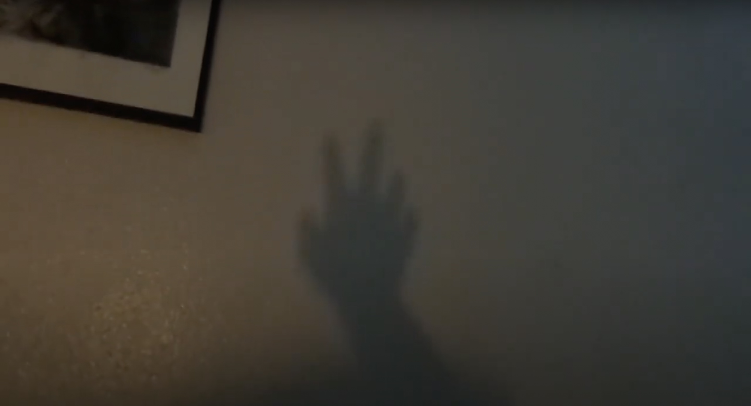 (ojos del sol)(piel de madera) 2023