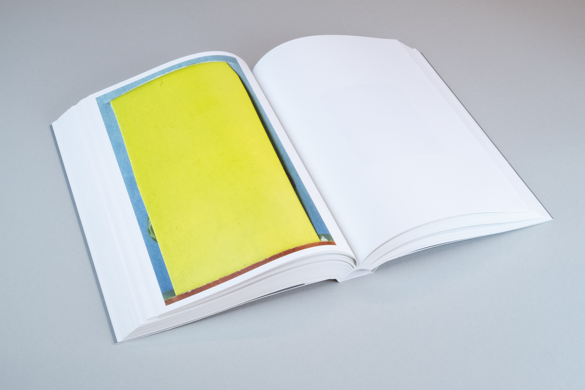 Ruth van Beek, How To Do The Flowers (Art Paper Editions)