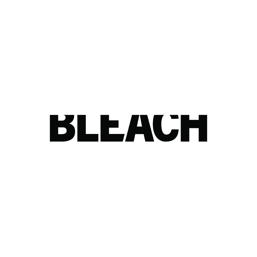 bleach-logo