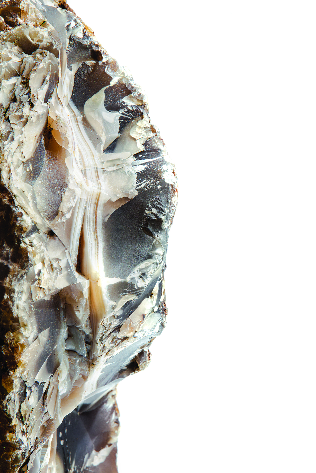 PHOTOGRAPHY RAF STUDIO OF MUTATIONS EXHIBITION AT MAD PARIS