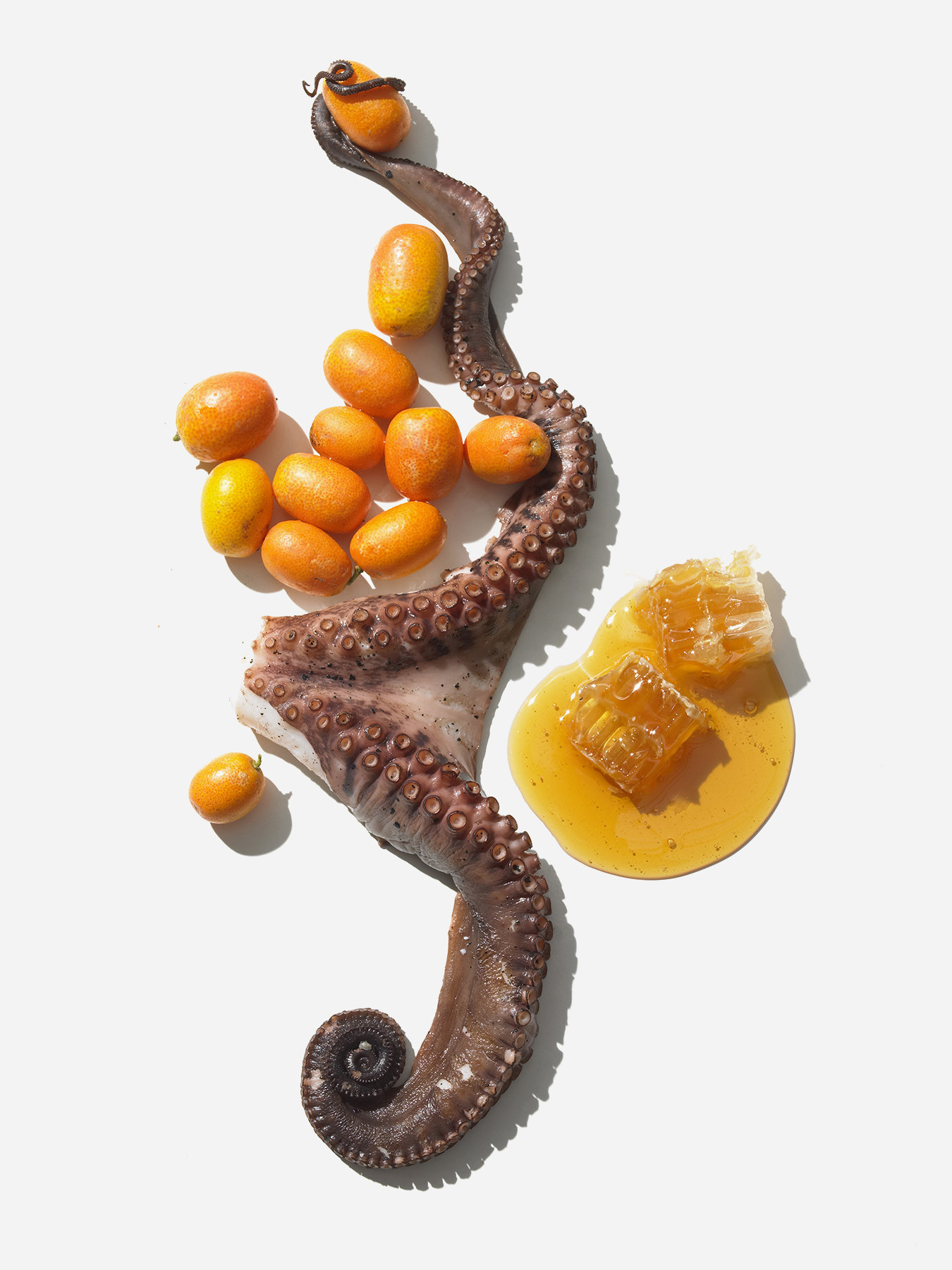 New York Times, 20042/4