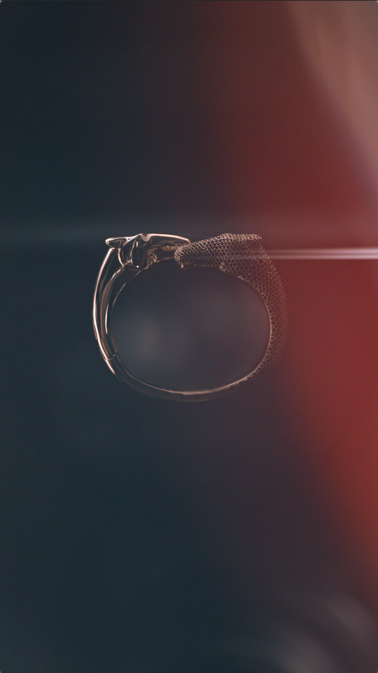 Herm&egrave;s "Black to Light"