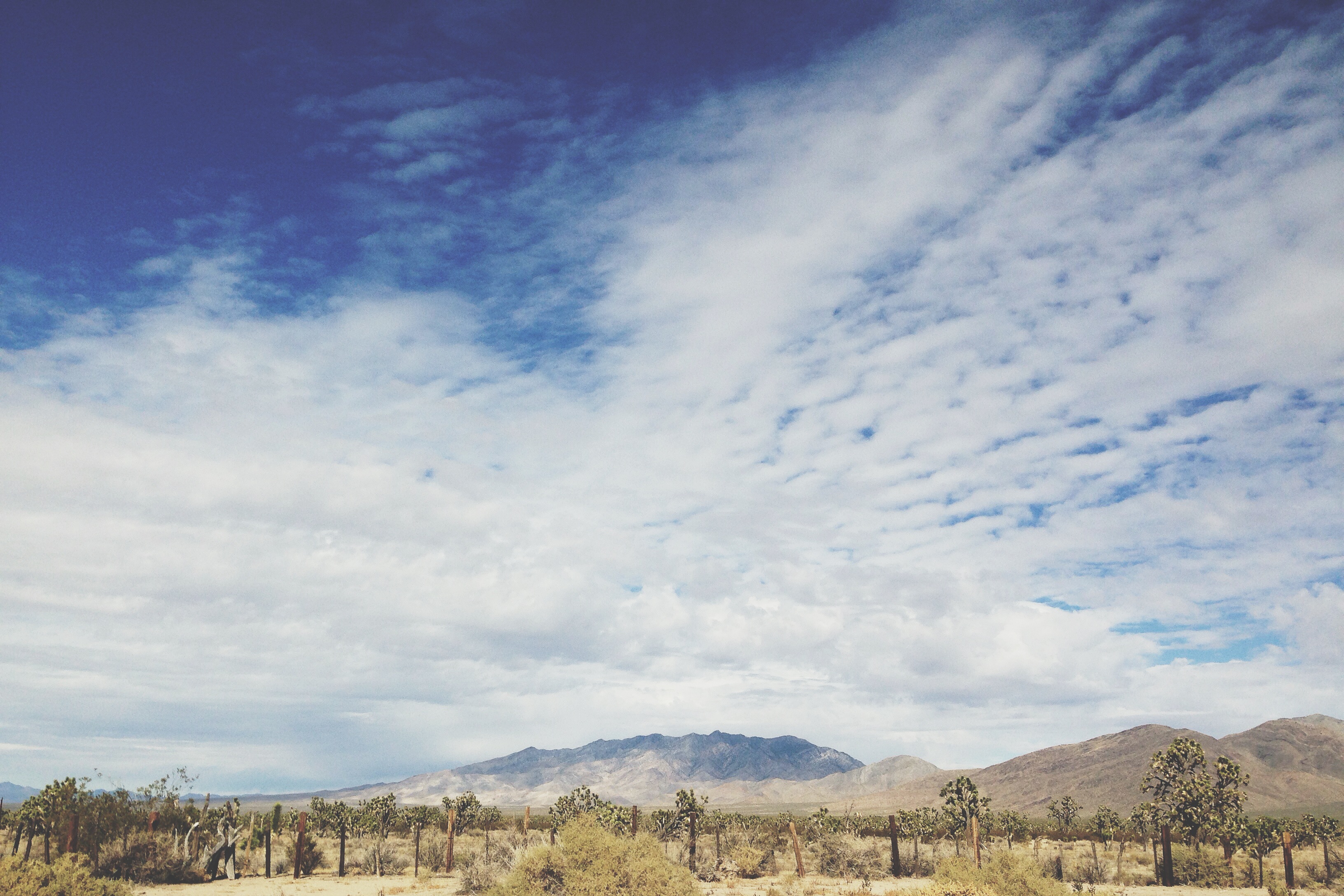 Arizona, José Enrique Montes Hernandez, Nice Like That, Photographer, Design