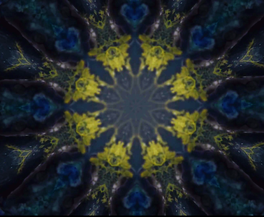 VIDEO  Compte-rendu [peau de fleur], 2019