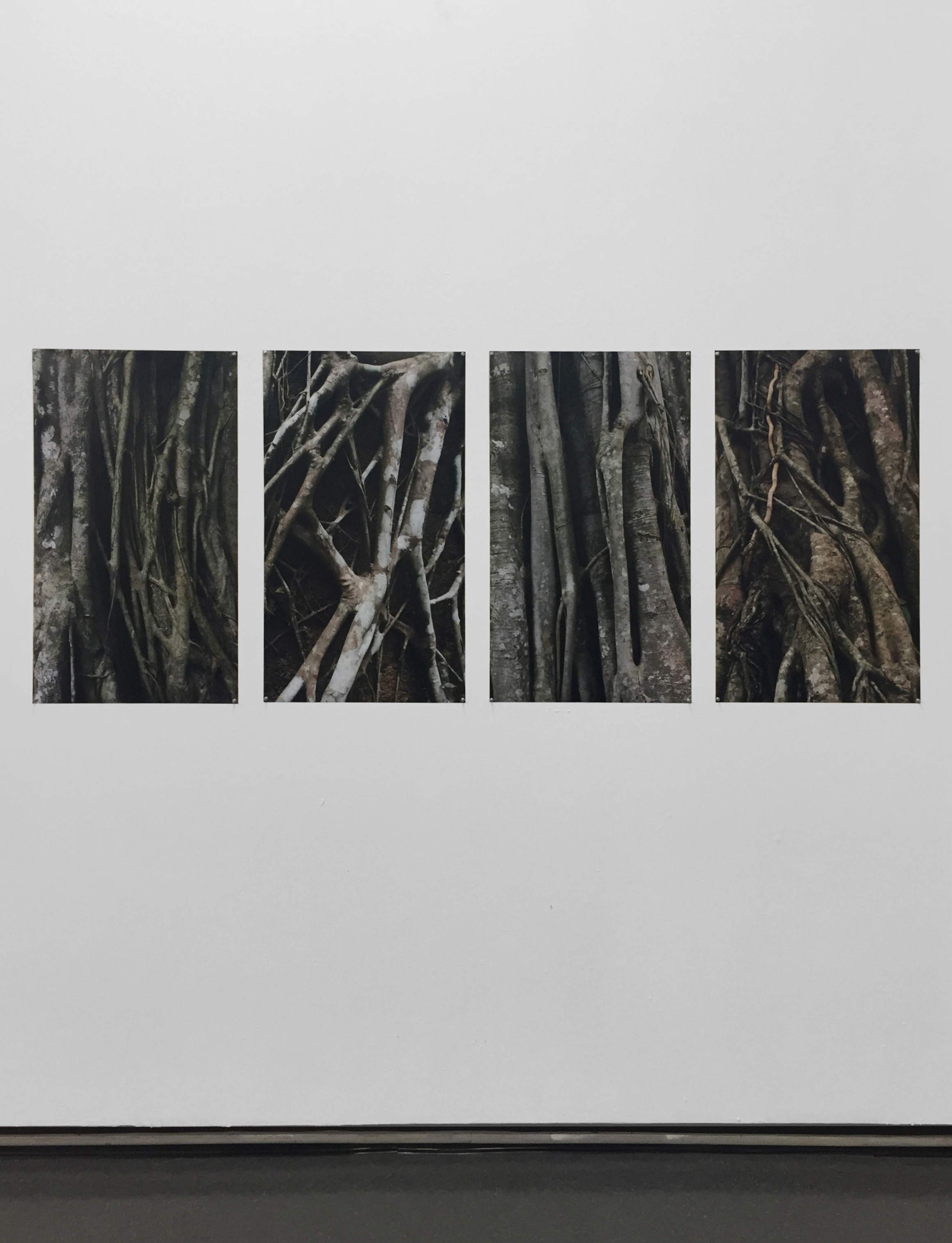 Digital photography print, 61x35cm each. 2017.