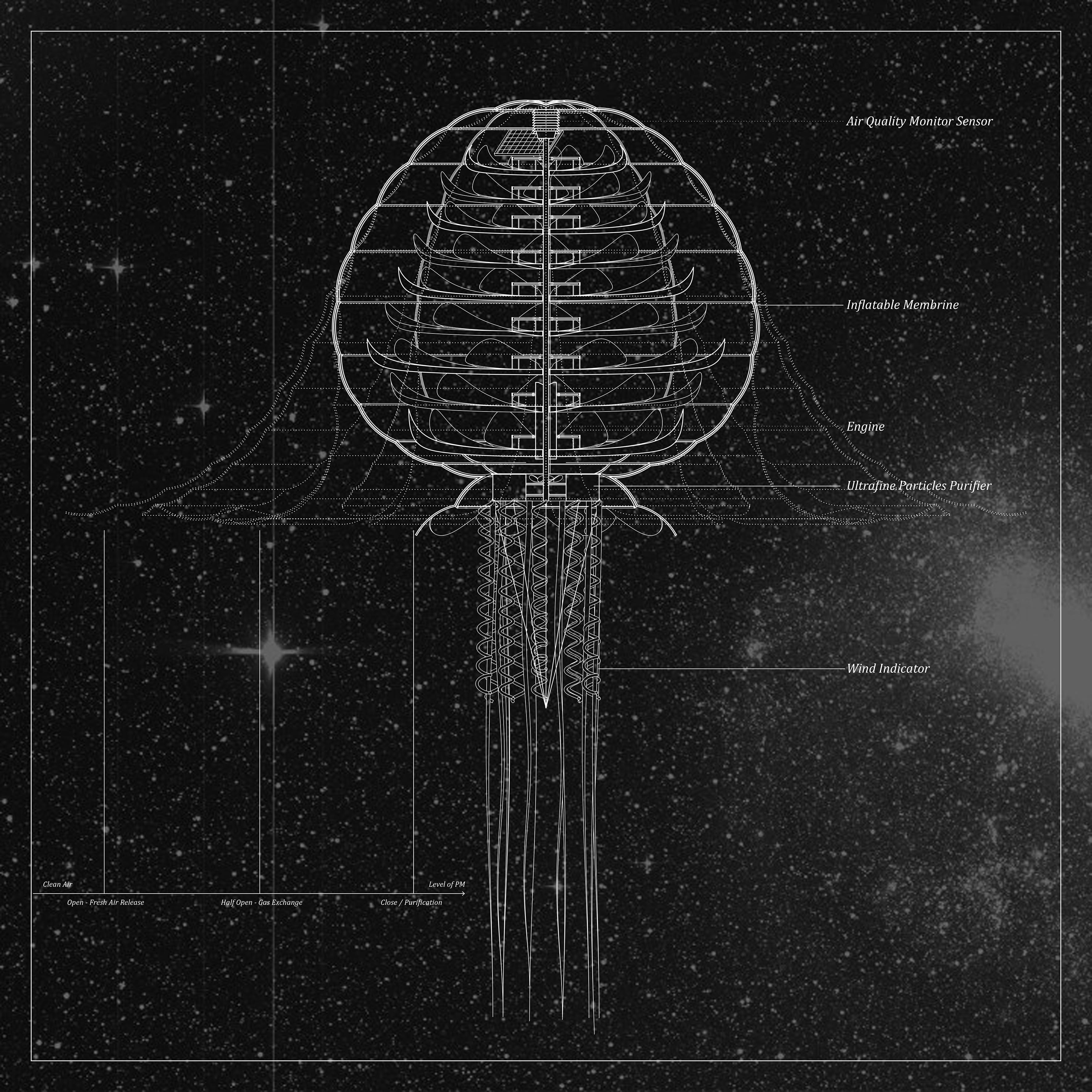 Cyborg Jellyfish Section