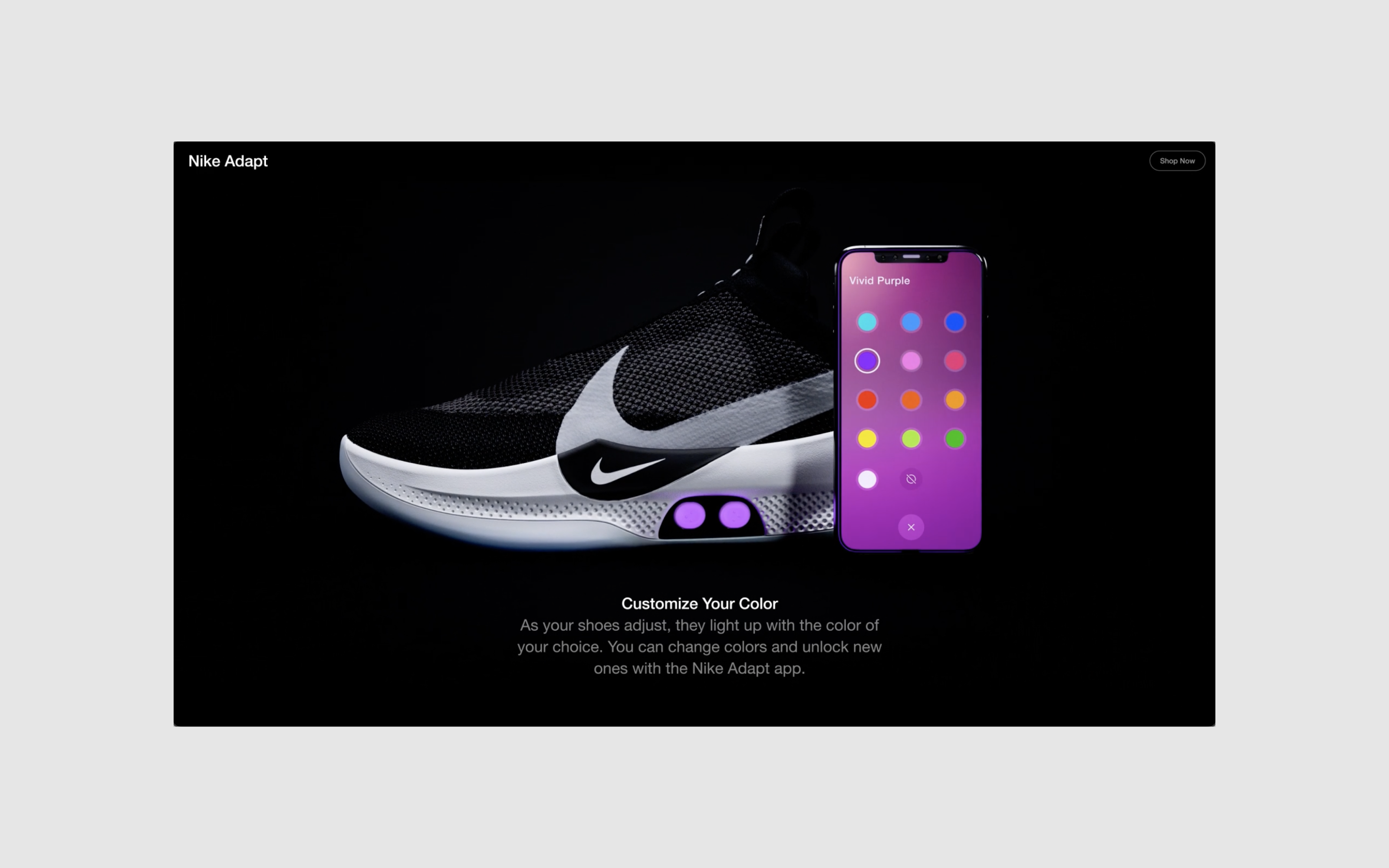 Nike Adapt LP