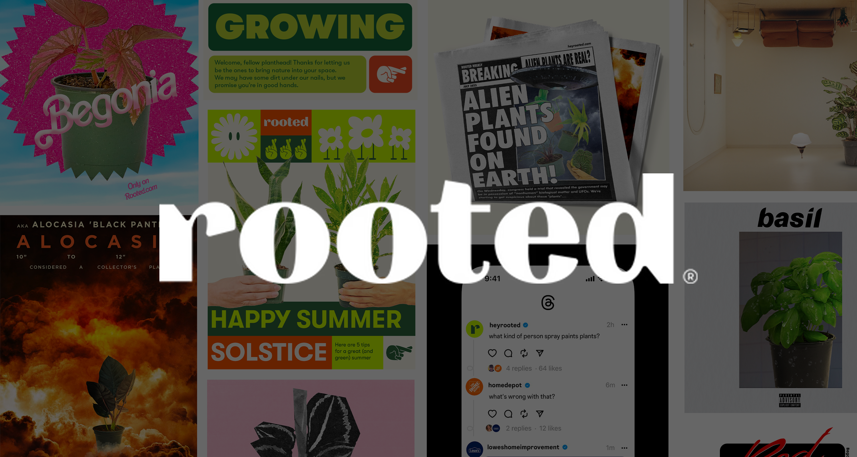 Graphic Design for Rooted