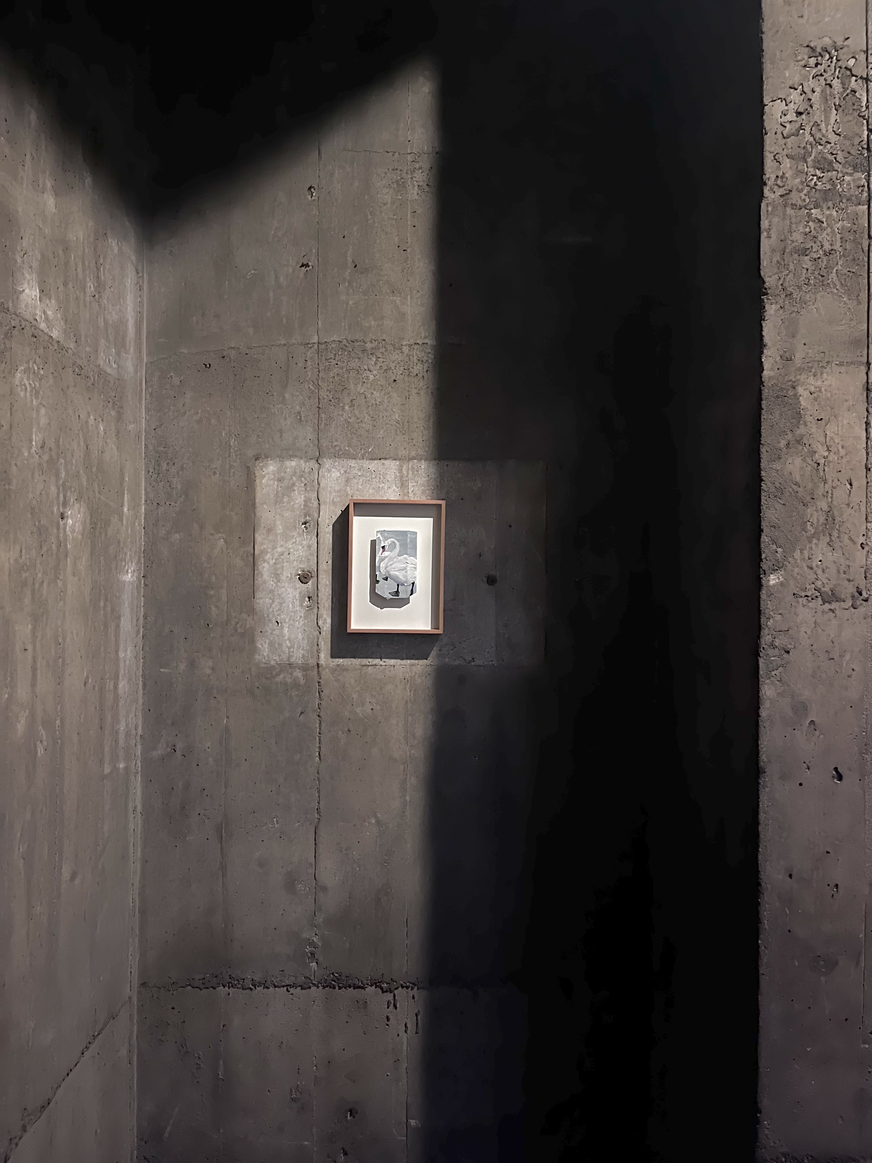 Title: In memoriam (Andre van Noord, 1964 - 2018). Location: R&ouml;misch-katholische Kirche St. Anton, Basel, Switzerland. Date: November 10, 2022