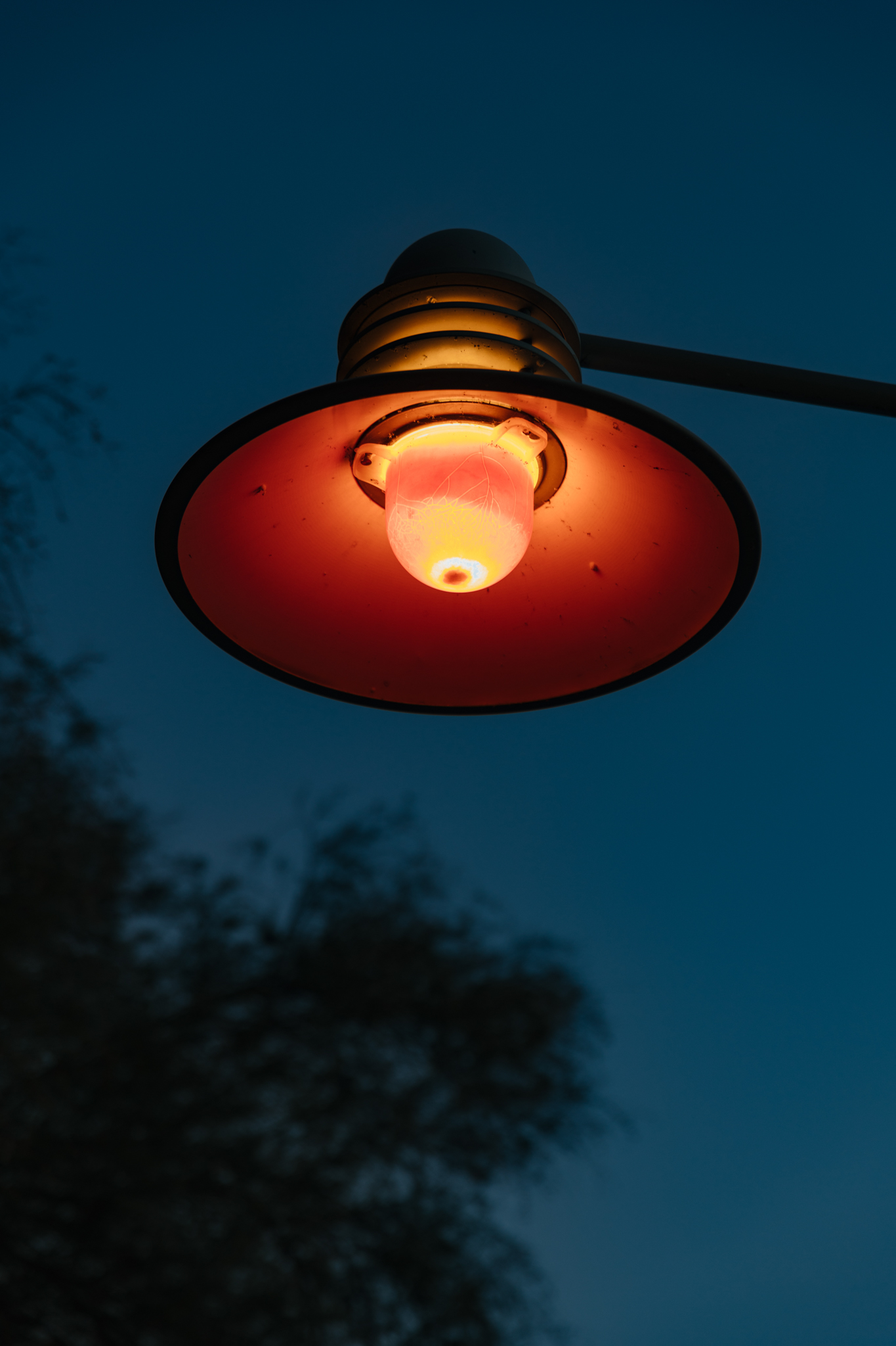 A lamppost.
