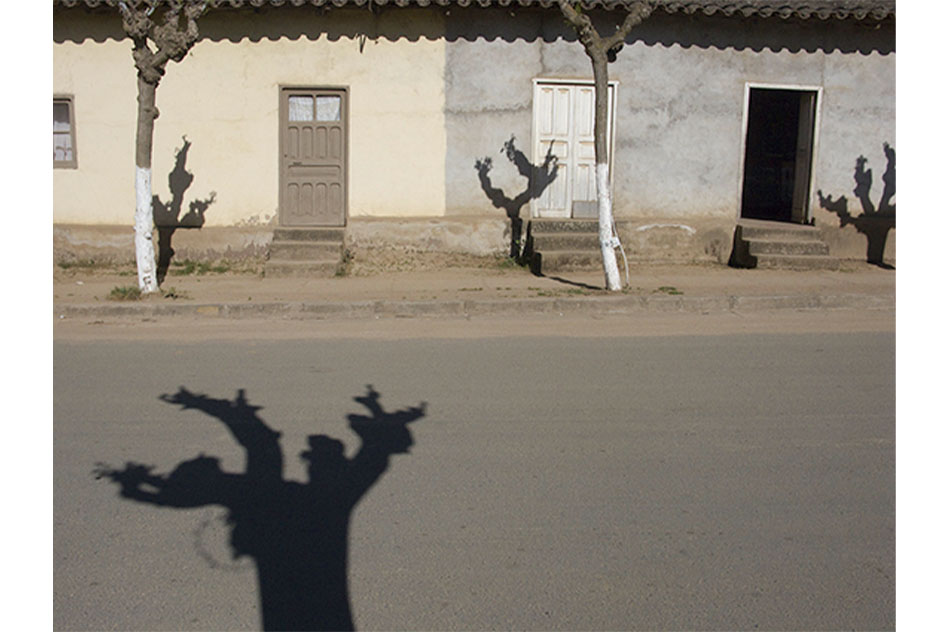Paz ErrázurizParedones, serie "La luz que me ciega", 2010Fotografía52.7 x 76.5 cm