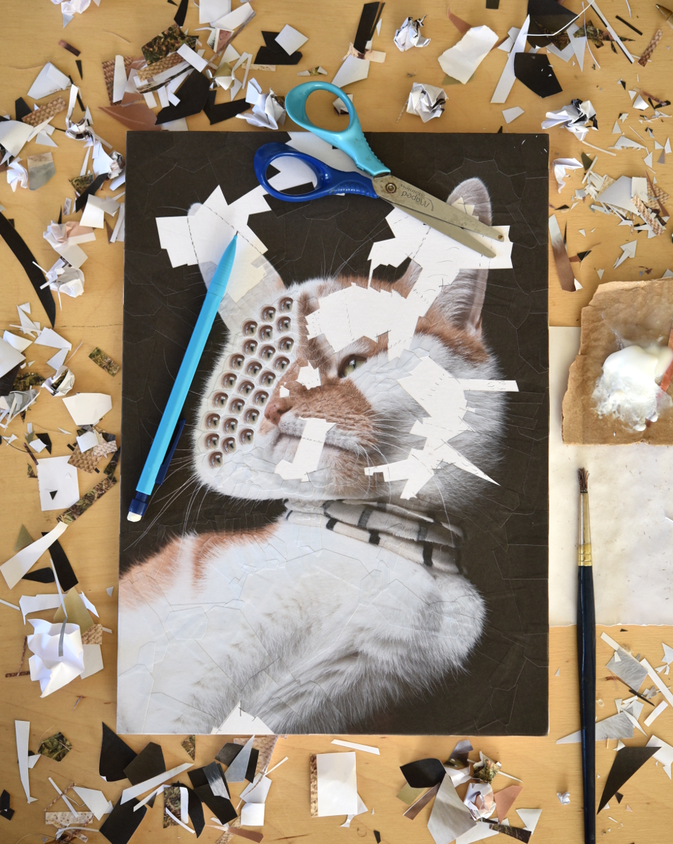 Charlie XVII Argus 8.2 x 11.6 inches