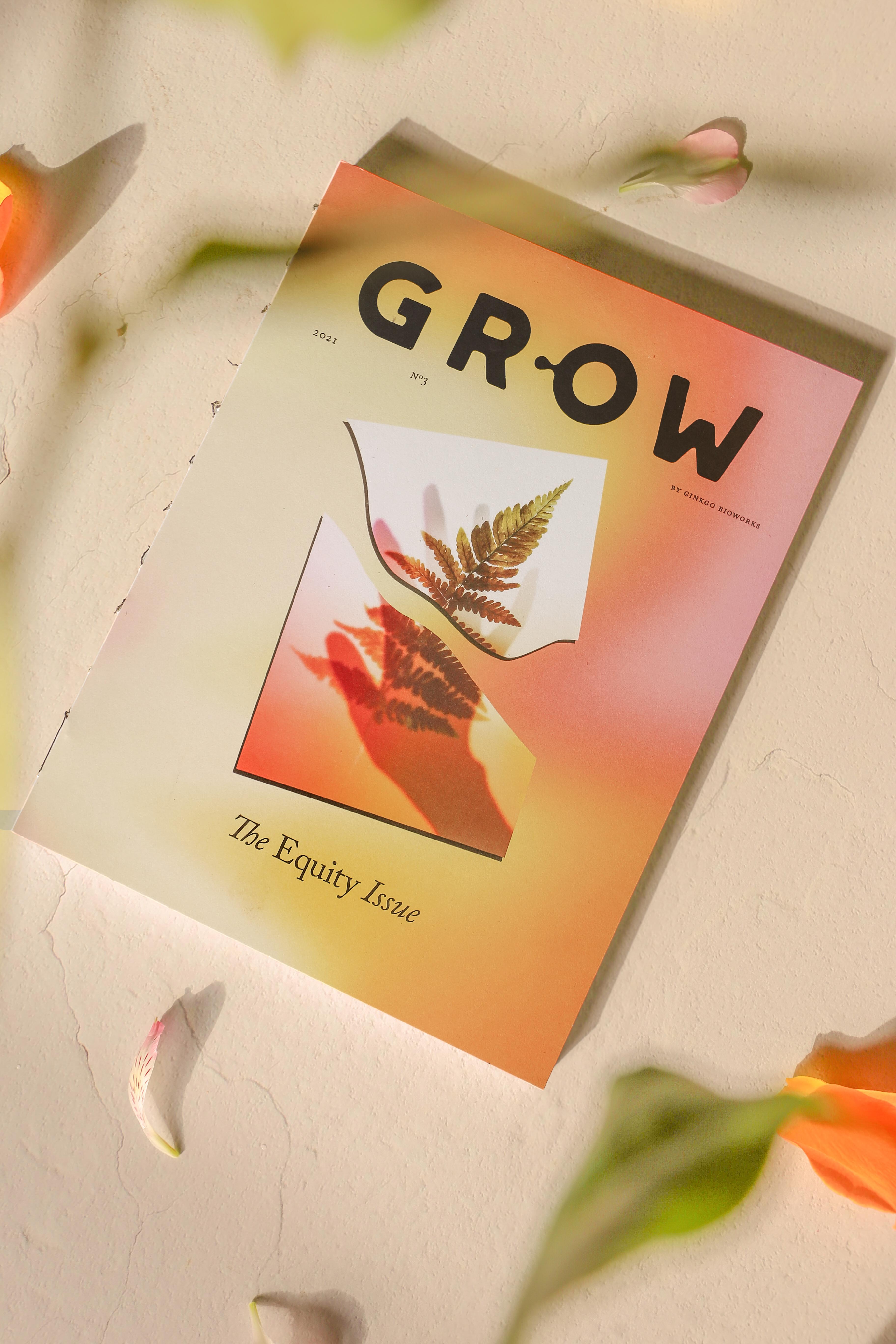 Grow by Gingko Bioworks ✴ Illustration