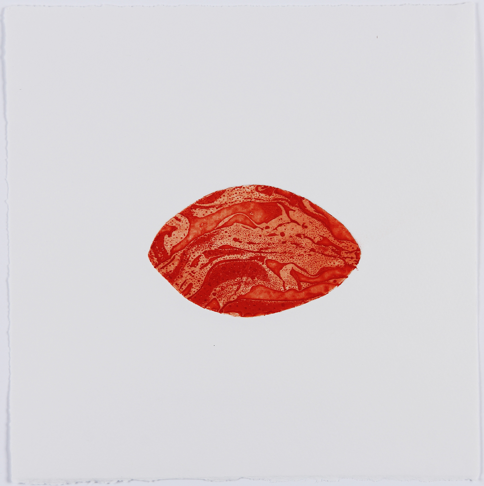 Xenophora VII, 2021. Etching on Somerset Satin. 25 x 25cm. 1/2 Varied Edition