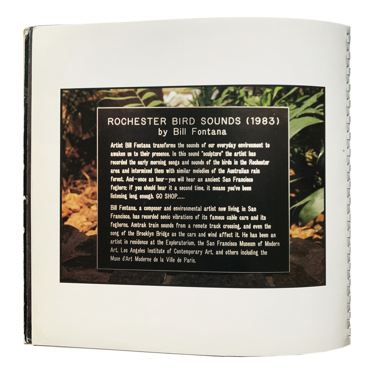 Wadsworth Atheneum Museum of Art - Bill Fontana - Bird Songs: 1982 Design: Alejandro Siña (artwork)