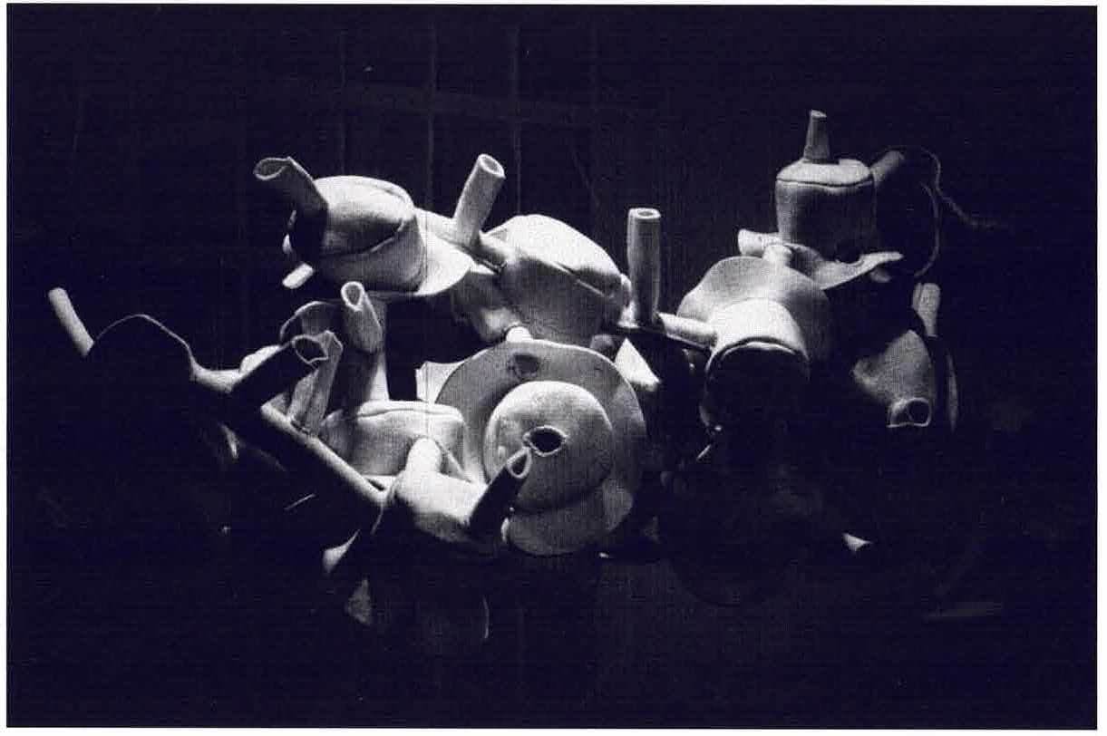 Kim Huynh, Of Word / Of Skin (1988), mixed media