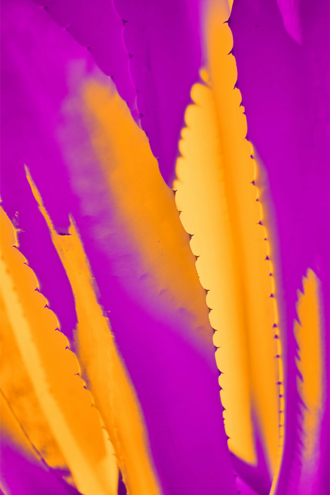 44-2025 (#357)october 27 - november 02, 2025