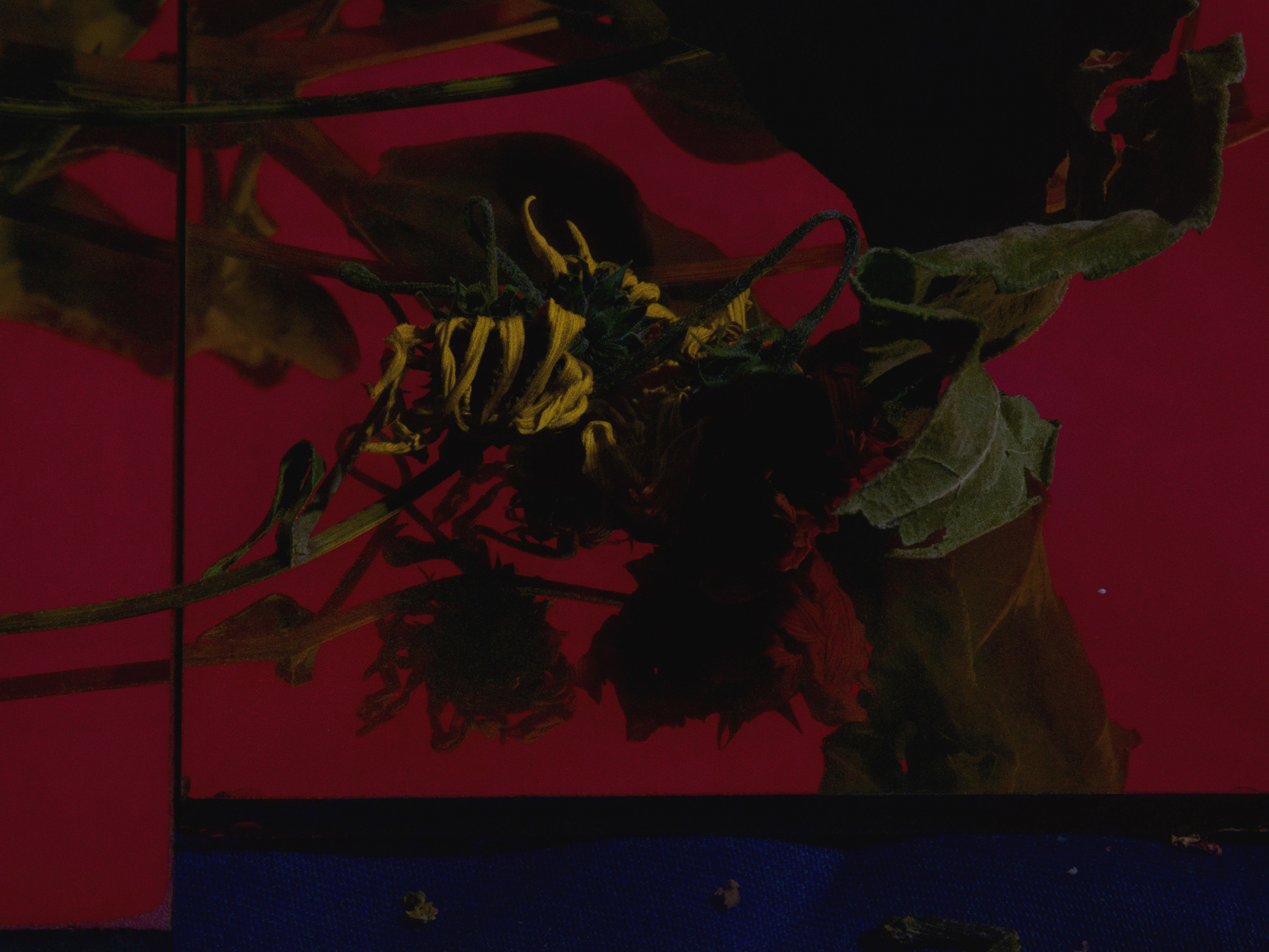 Diorama della natività, 2019 - 60&times;80cm - Ed.5