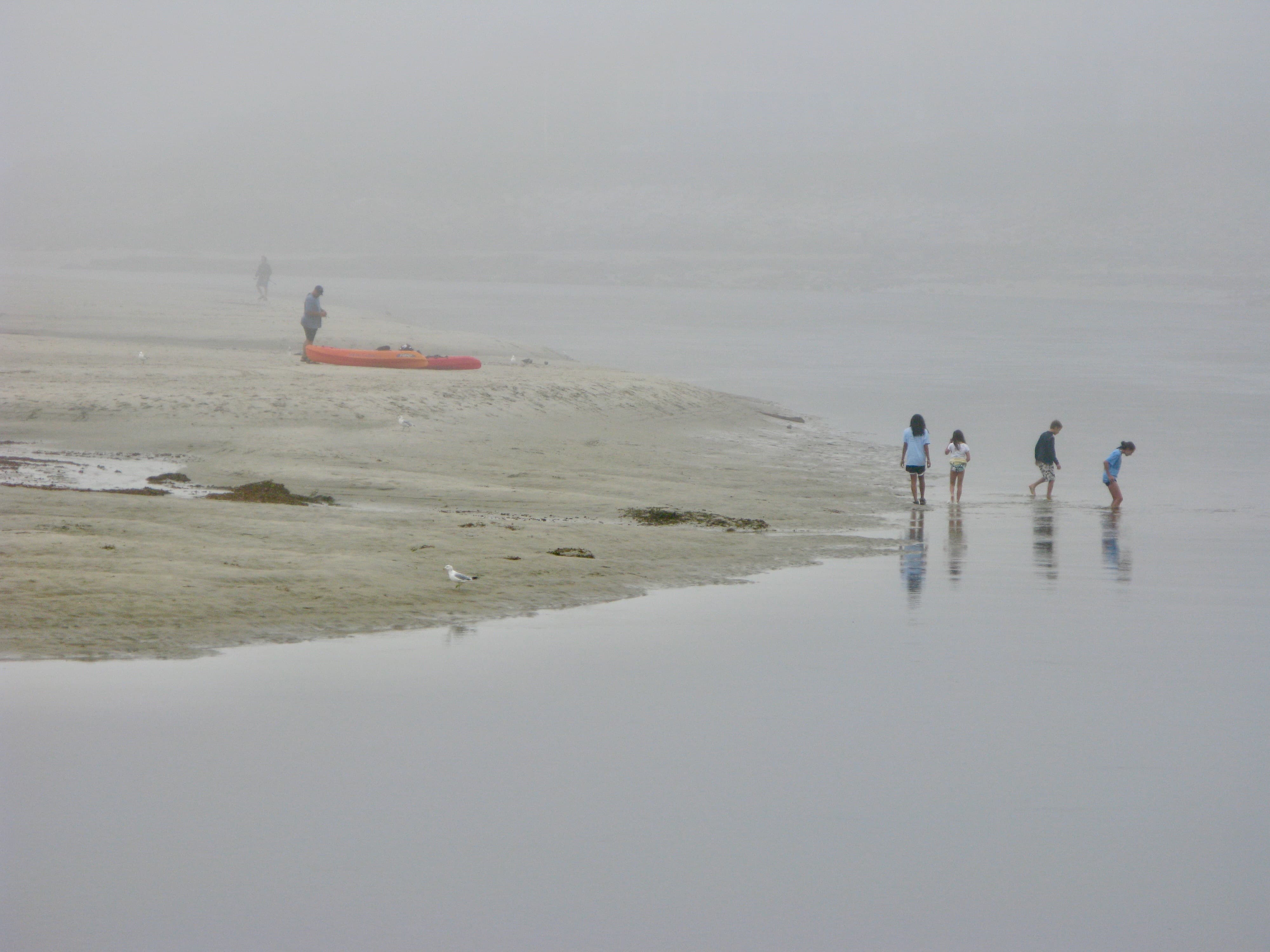 OGUNQUIT, ME • 2008