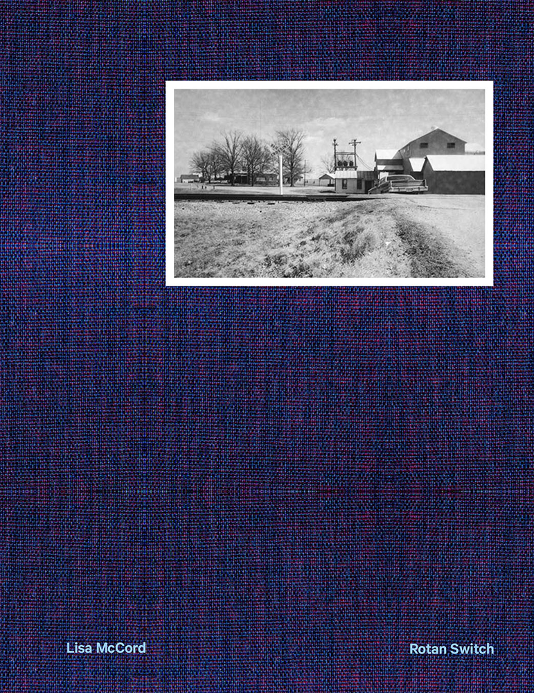 Rotan Switch by Lisa McCord