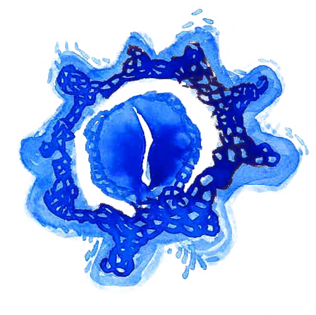 About Fluidspaces