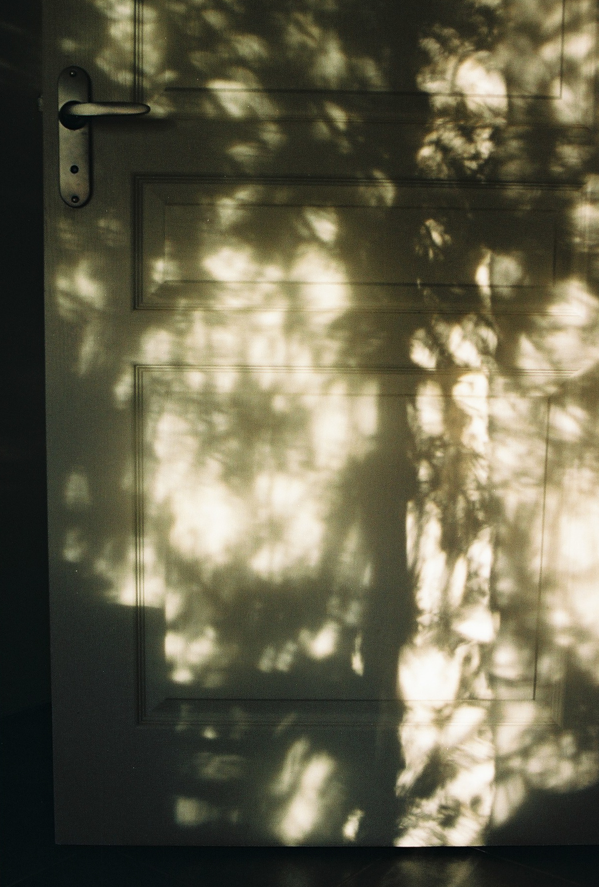 Montpellier, France, 2018.