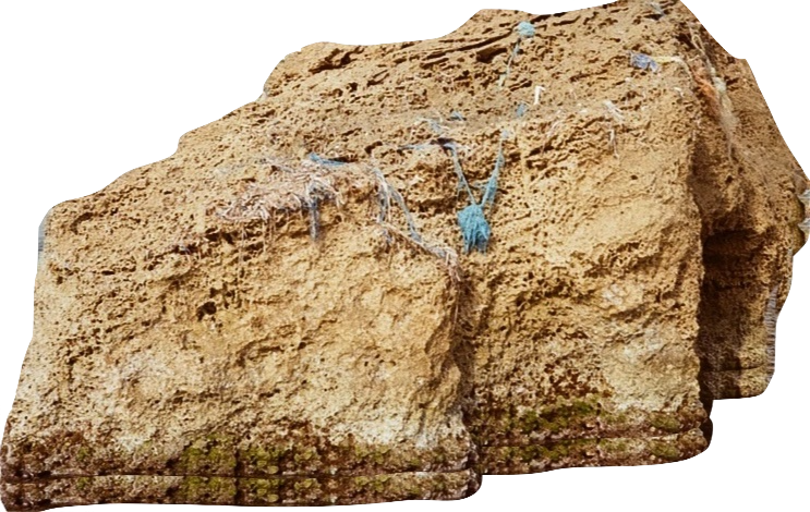 questioning what is nature