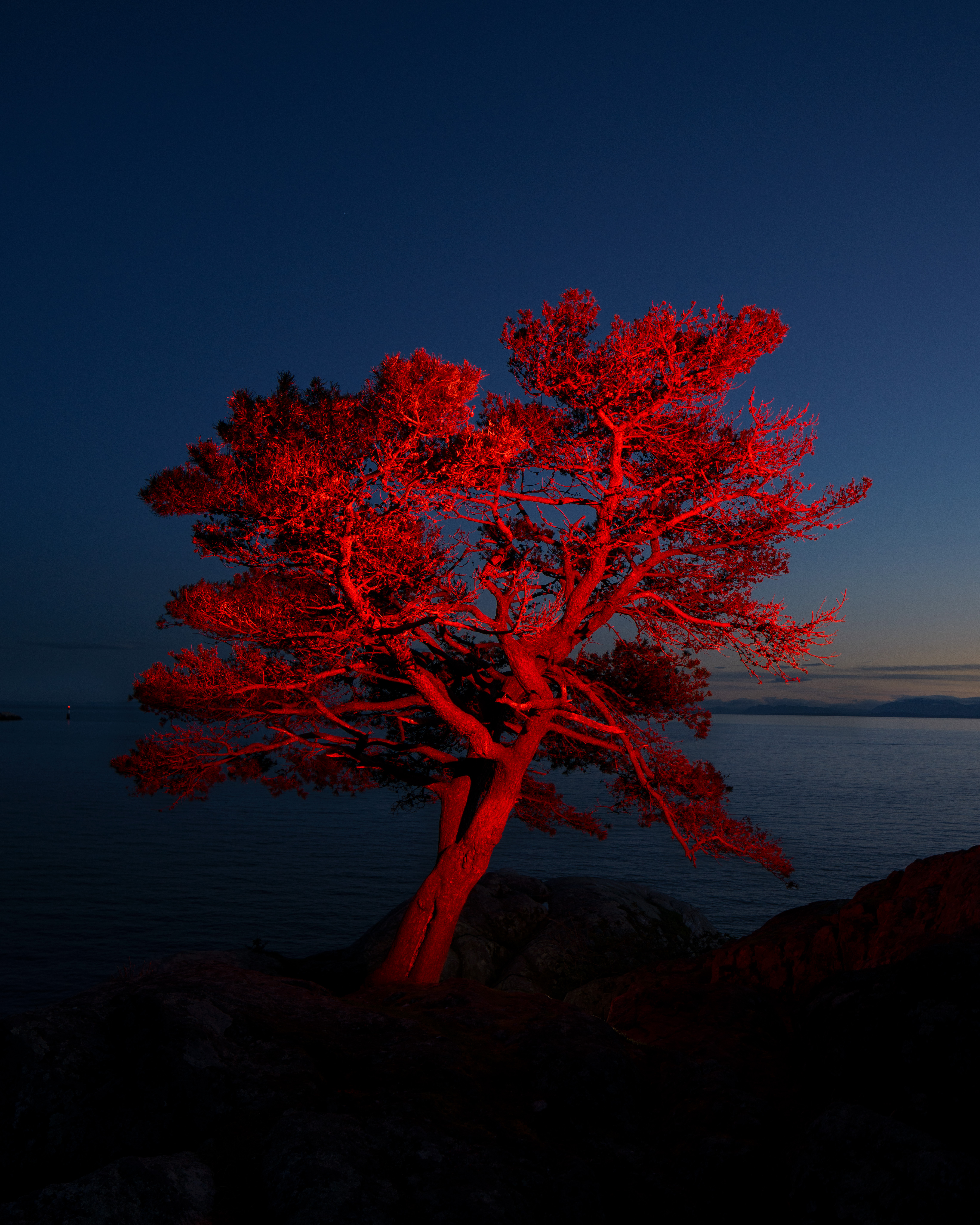 Illuminated
