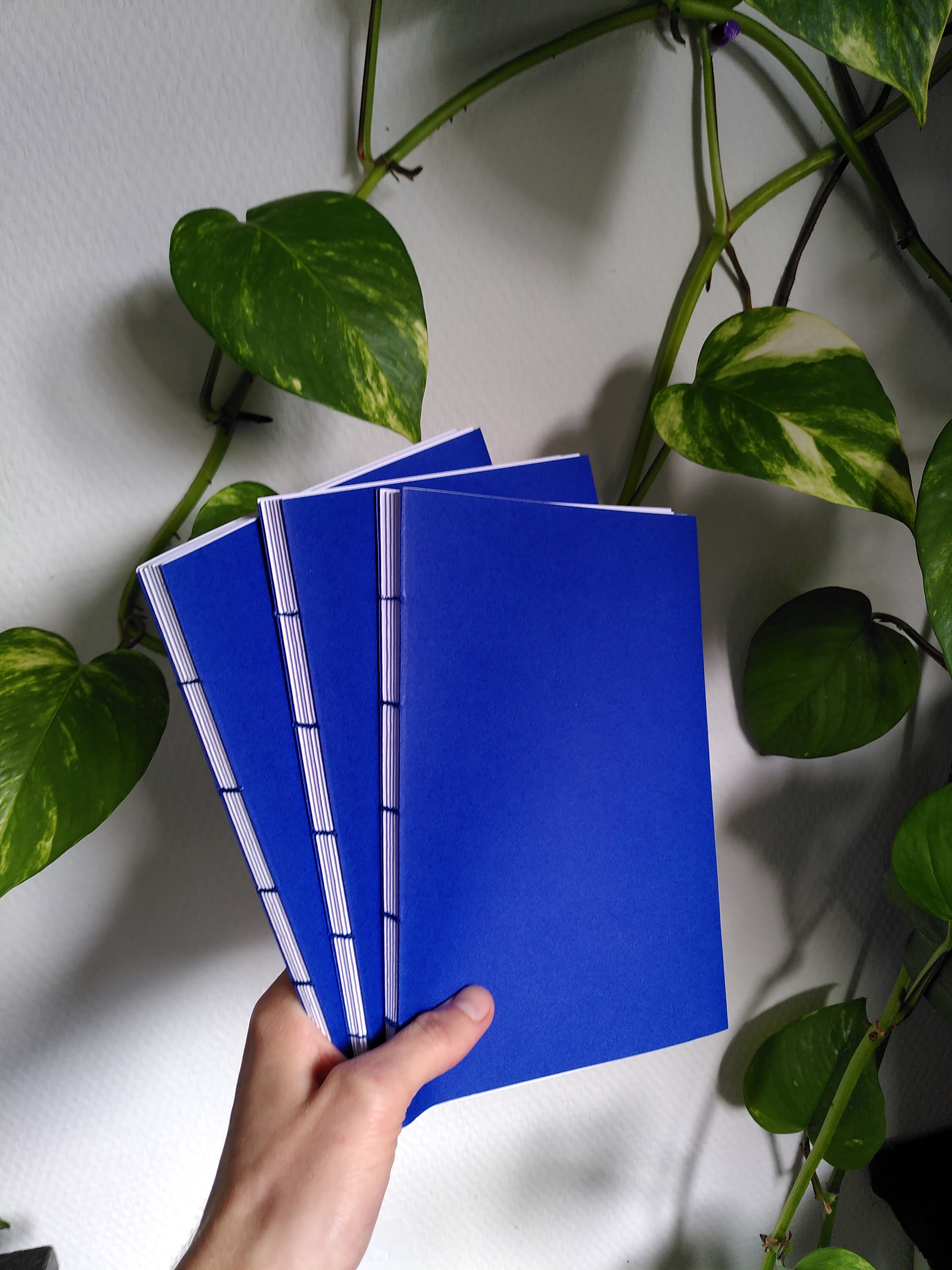 three copies of the booklet fanned out, held in front of a white wll with green vines across it.