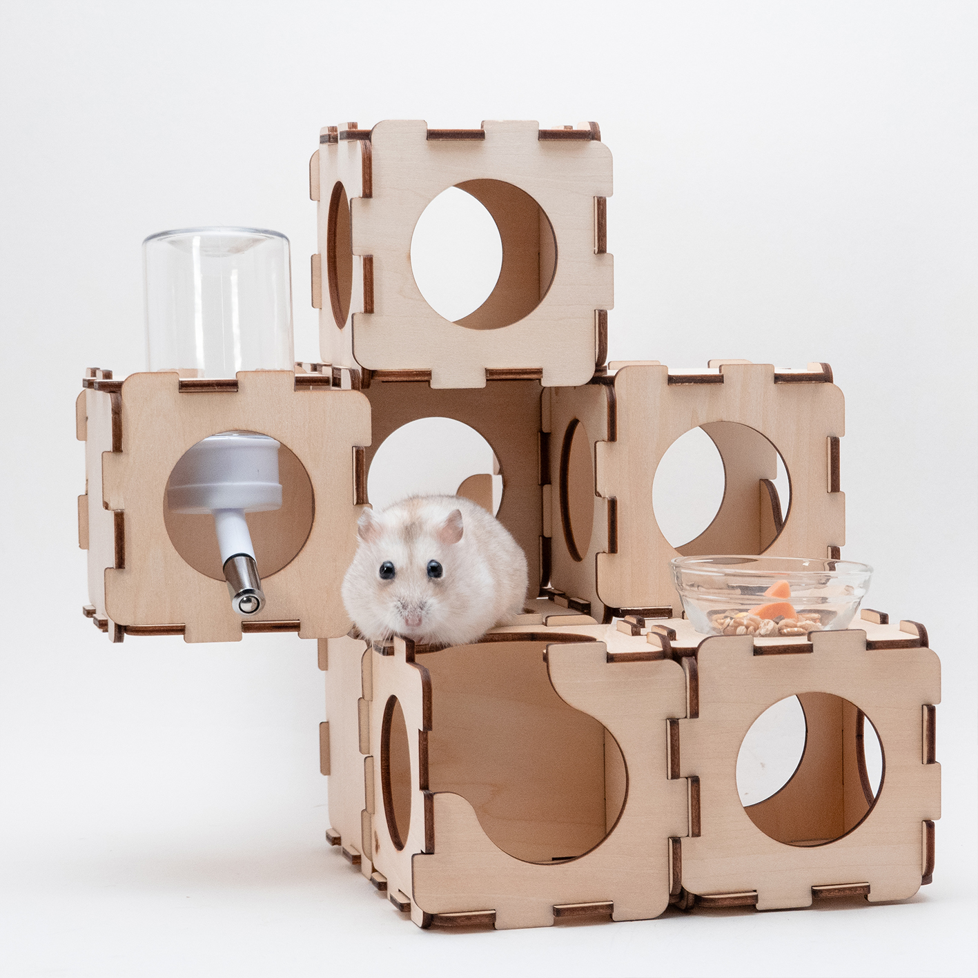 ︎︎︎ Hamooi Ham’s Box 一箱哈姆