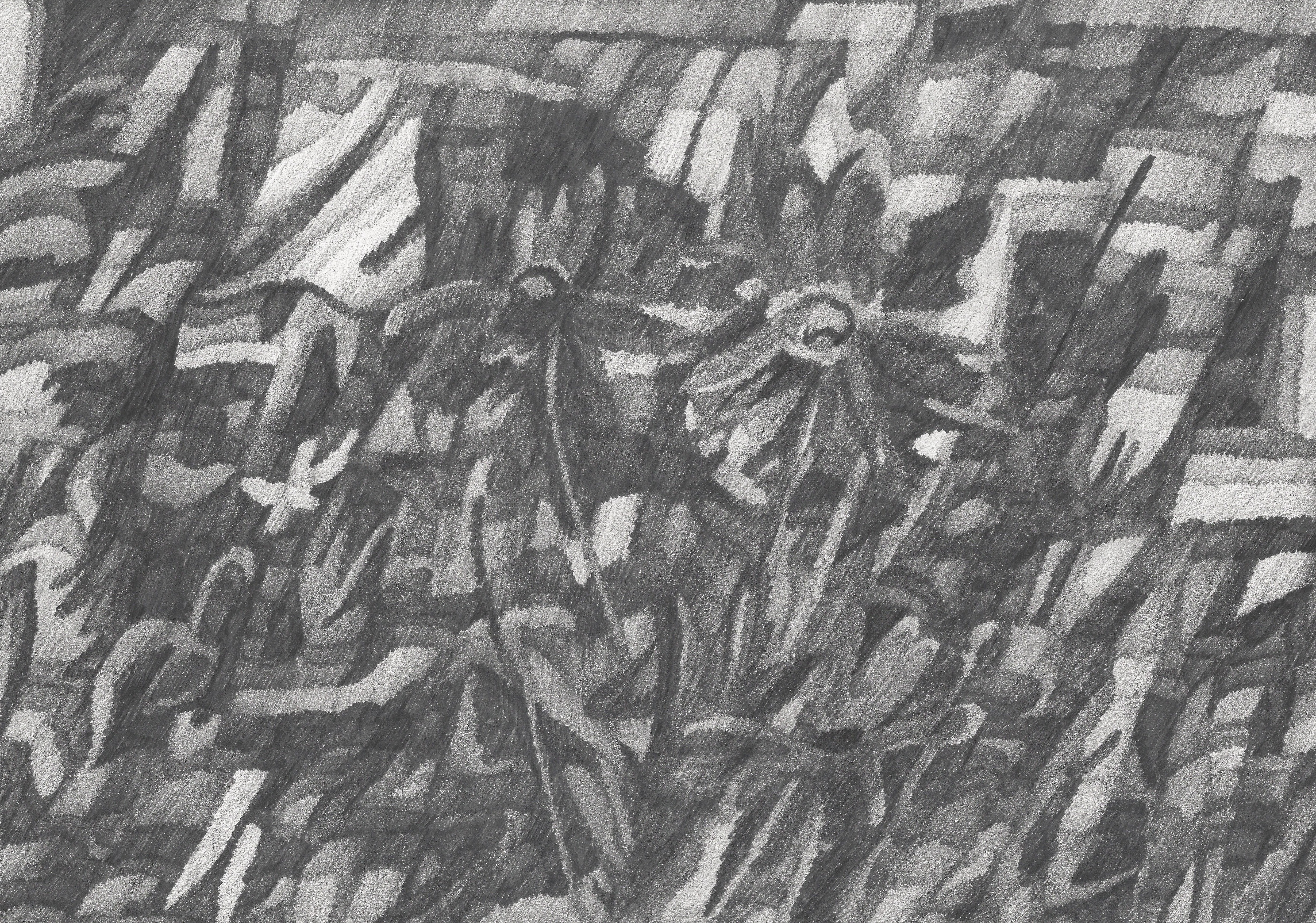 Night flowers, pencil on paper