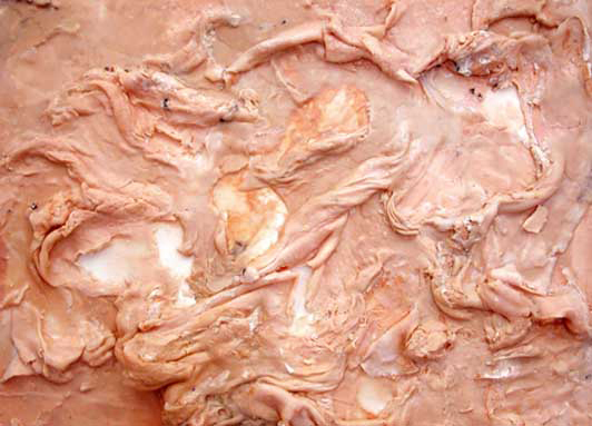 As long as you think you're white, there's no hope for you., 2003